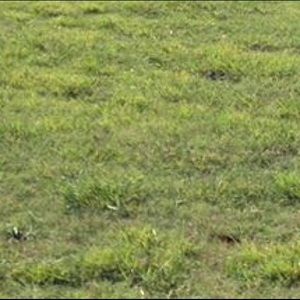 Meet your Posher, Rixon